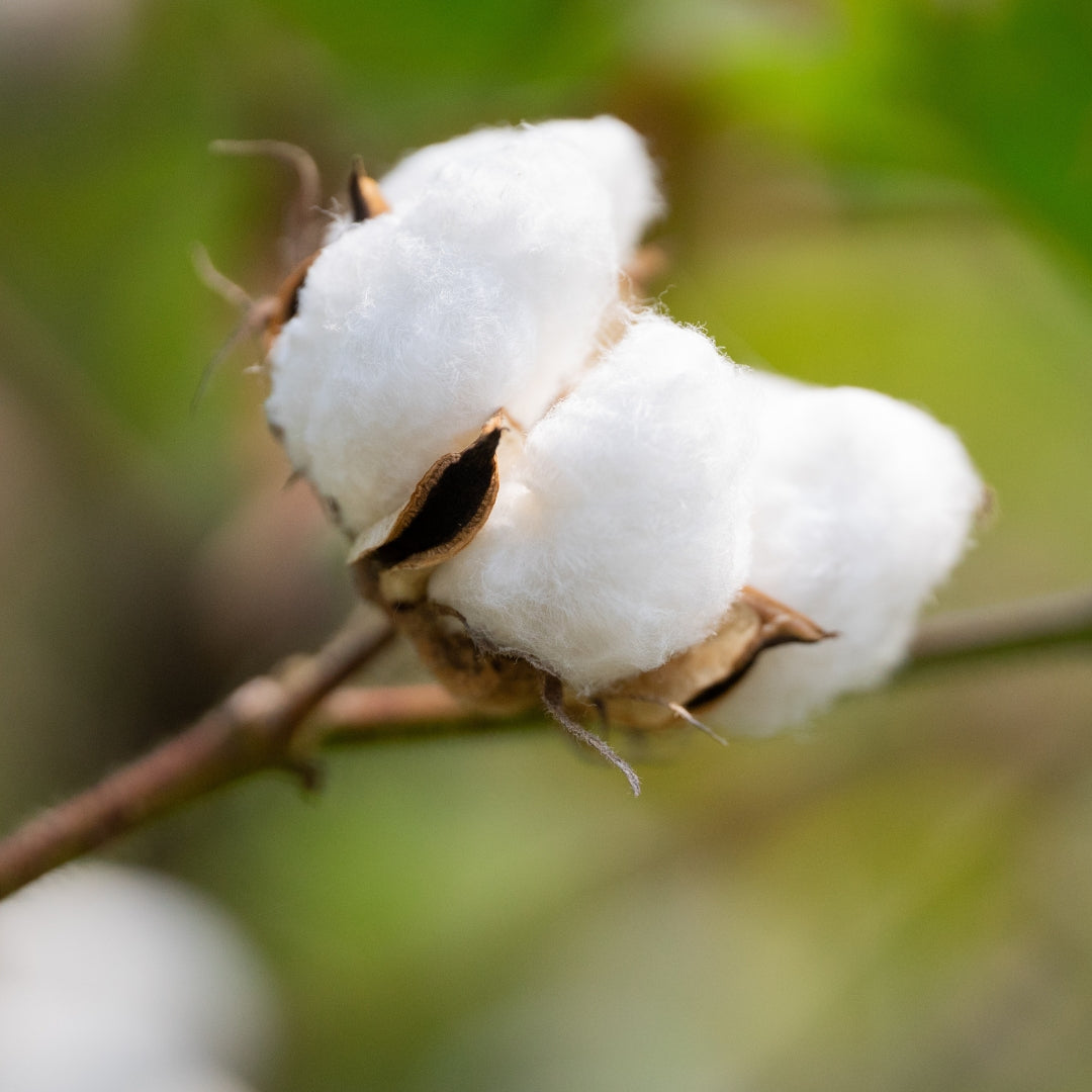 Label Washing in the Textile Industry